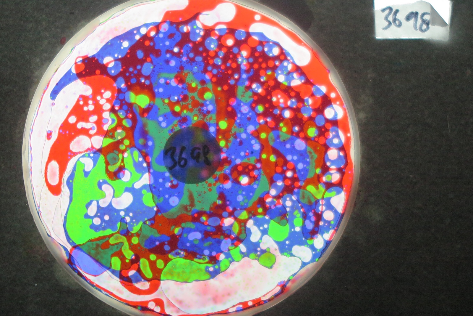 BV3698 bubble vision oil wheel